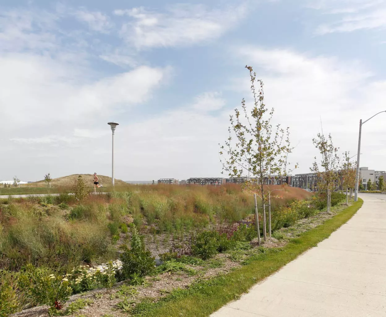 Image of a running trail